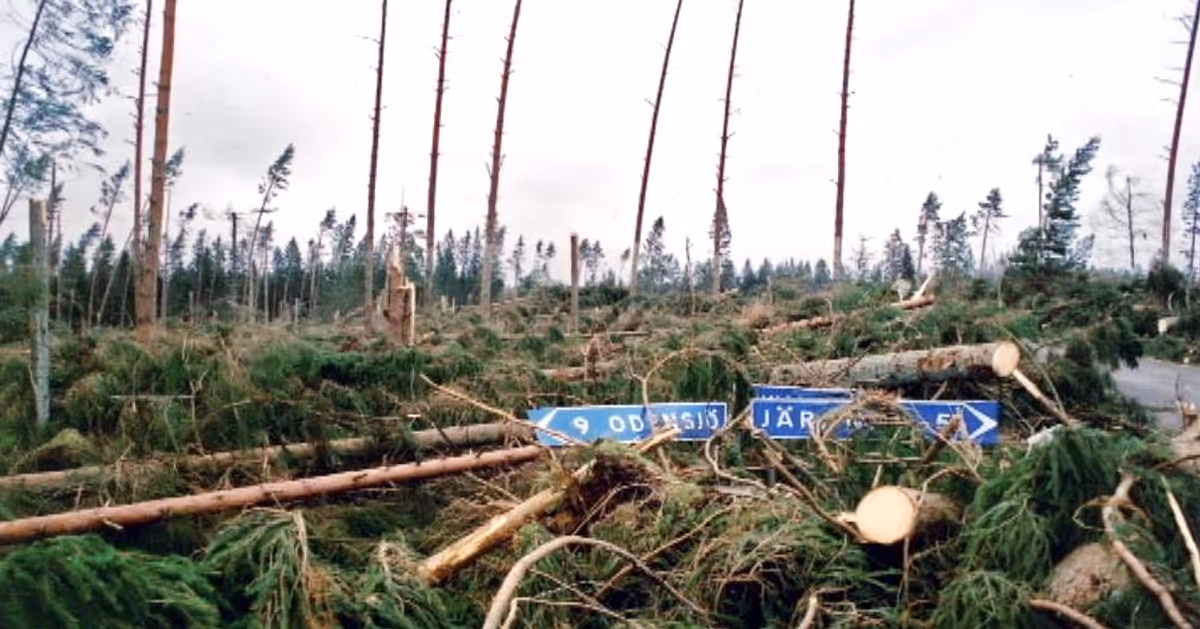 Stormskador i Ljungby